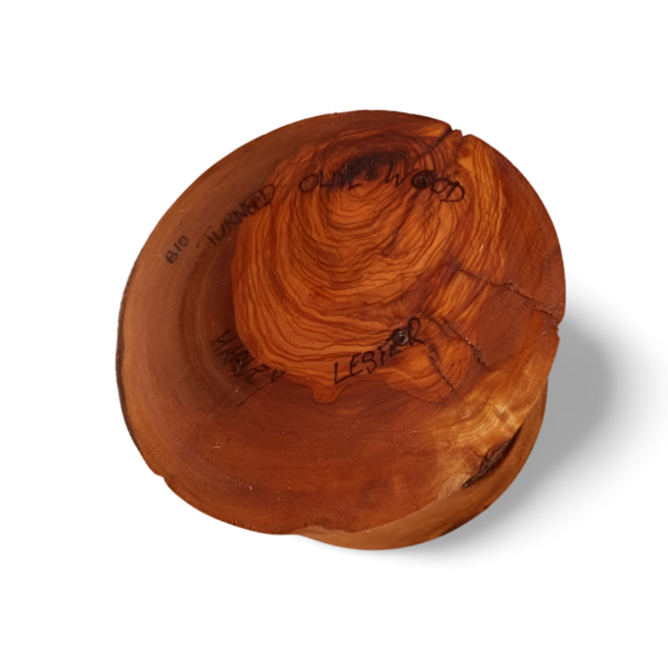 Olive Wood Bowl with Natural Bark & Branch Inclusions